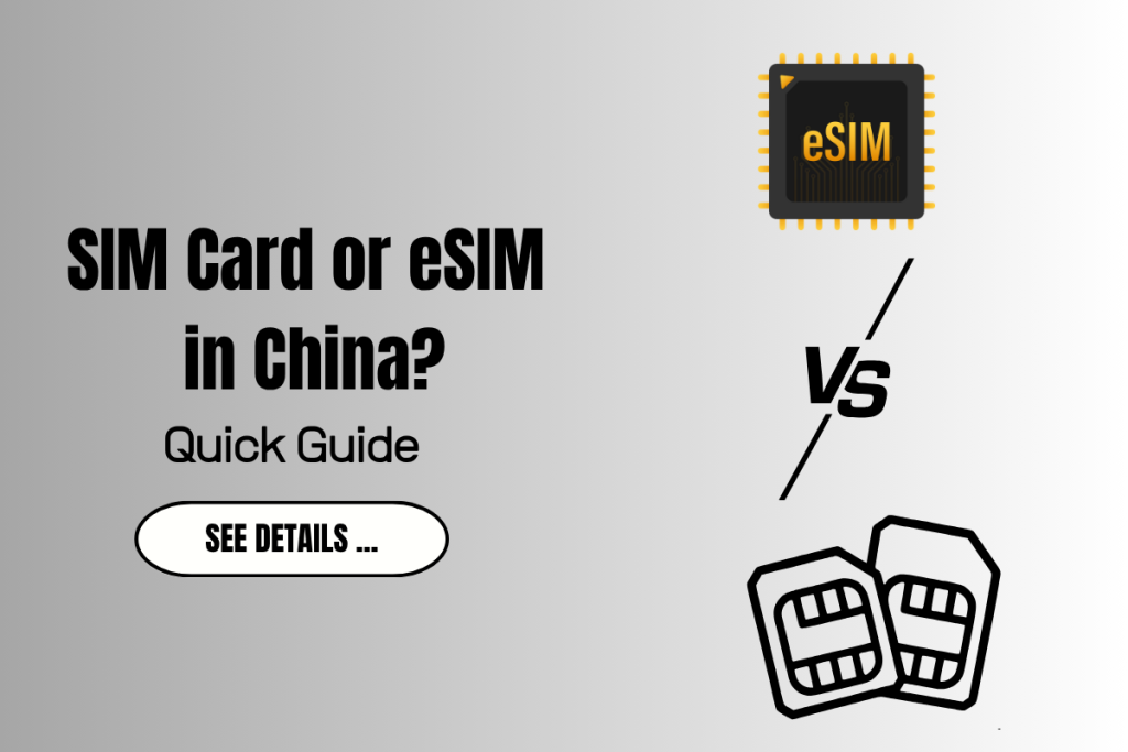 Should You Use a SIM Card or eSIM in China? [Guide for Travelers]