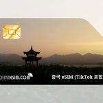 중국 eSIM (틱톡 포함)