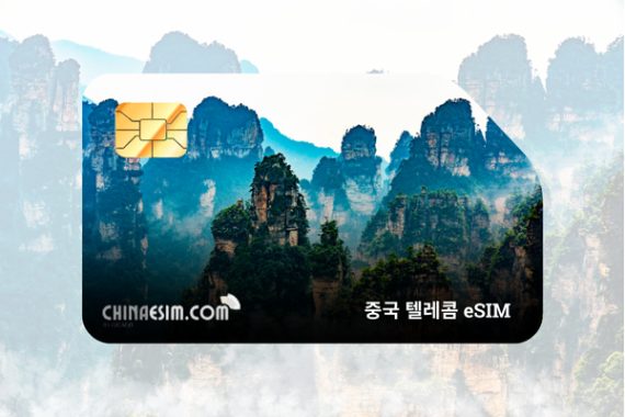 중국 텔레콤 eSIM